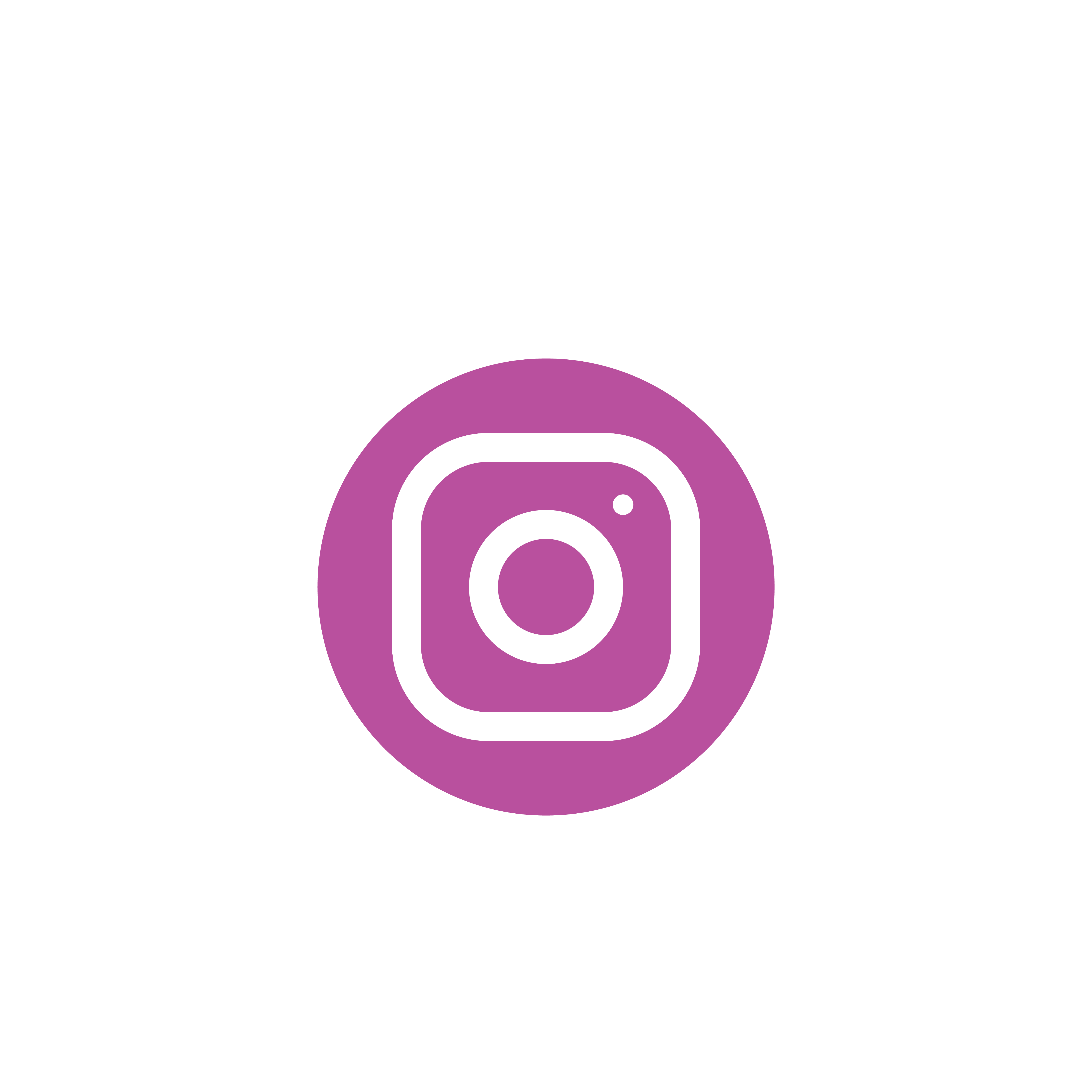 instagram icon